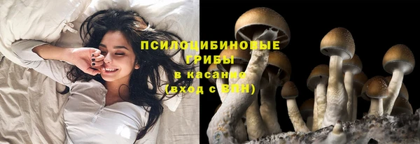 а пвп мука Липки
