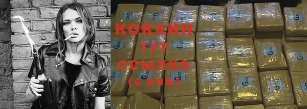 СК Долгопрудный